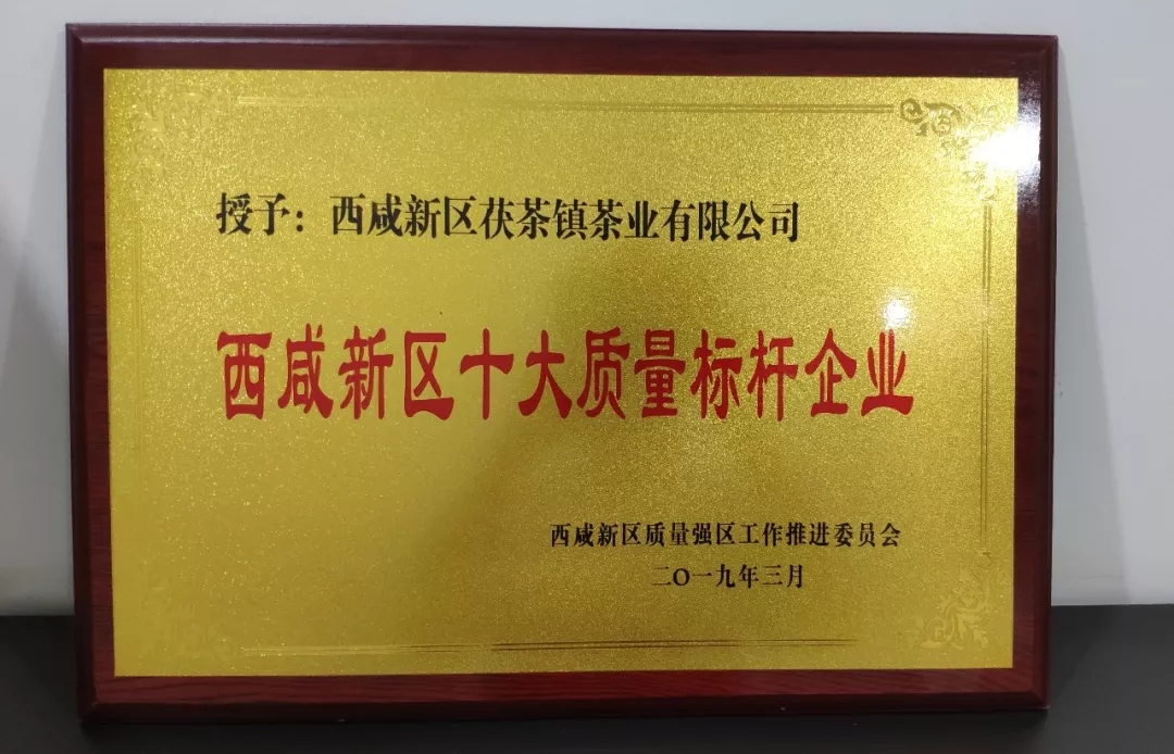 508。2.webp.jpg