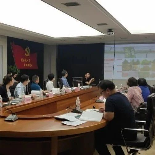 泾河市政 _ 21条市政道路绿化评审会顺利召开.png