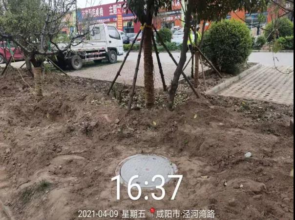 44.jpg