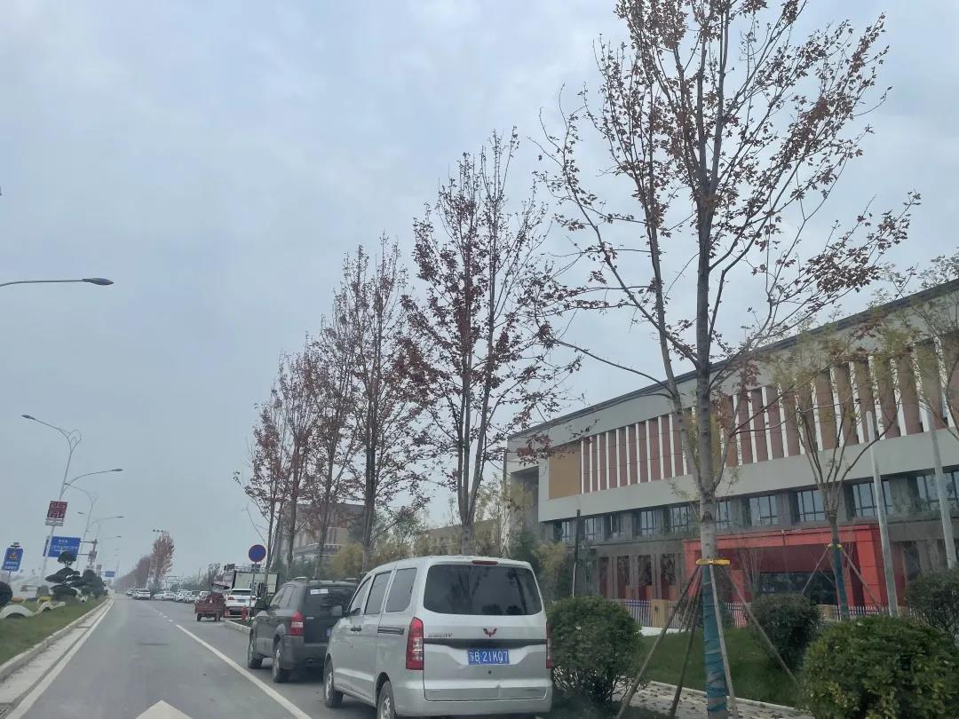 微信图片_20211125140347.jpg