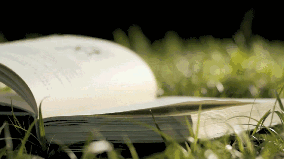 4.gif