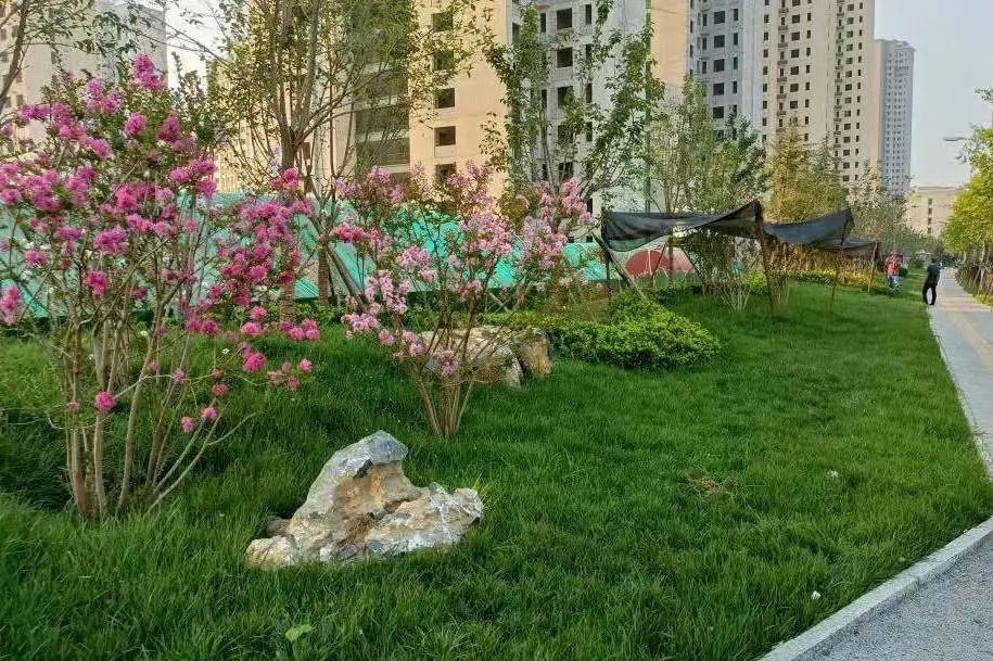 640.jpg