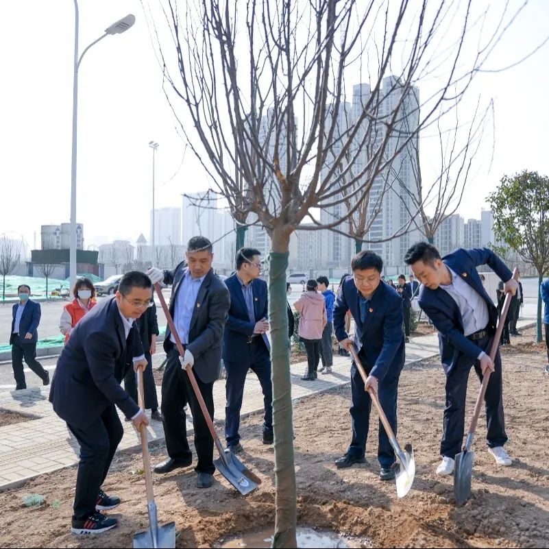植树1.jpg