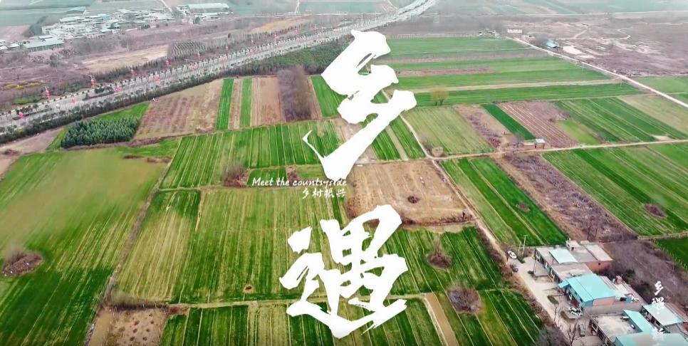 乡村振兴.png